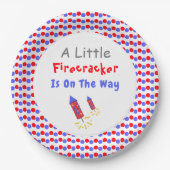 少し爆竹が進んでいる ペーパープレート (正面)