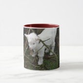 少し白い マグカップ (中央)