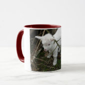 少し白い マグカップ (正面左)