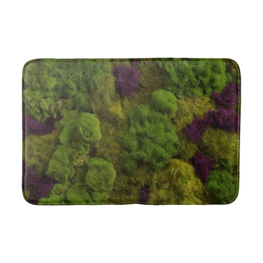 少し苔むした バスマット (正面)