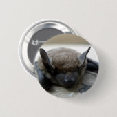 少し茶色こうもり(Myotisのlucifugus) 缶バッジ (正面&裏面)