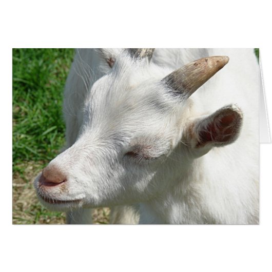 少し陰影を取って (正面横)