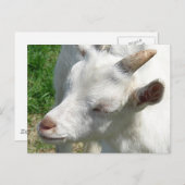 少し陰影を取って ポストカード (正面/裏面)