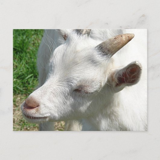 少し陰影を取って ポストカード (正面)