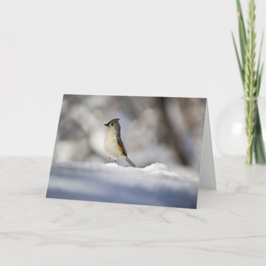 少し雪の鳥 カード (正面)