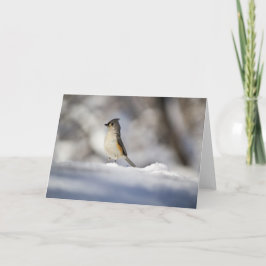 少し雪の鳥 カード