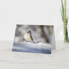 少し雪の鳥 カード
