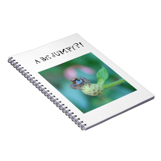 少し飛び交う?! ノートブック (右側)