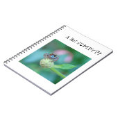 少し飛び交う?! ノートブック (左側)