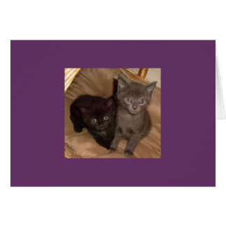 少し黒いおよび少し灰色