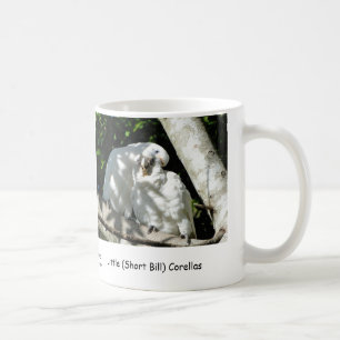 少し(短いビル) Corellas コーヒーマグカップ