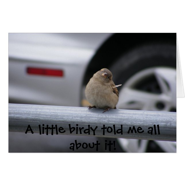 少しBirdy (カスタマイズ可能な!) (正面横)