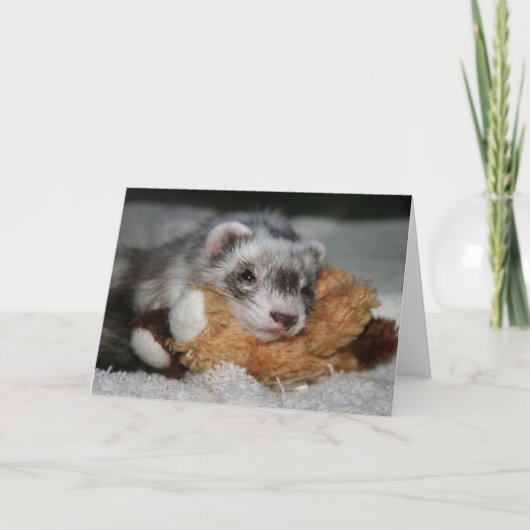 少しDooksのペニーの挨拶状 カード (正面)