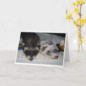 少しDooksの眠る人の挨拶状 カード (黄色い花)