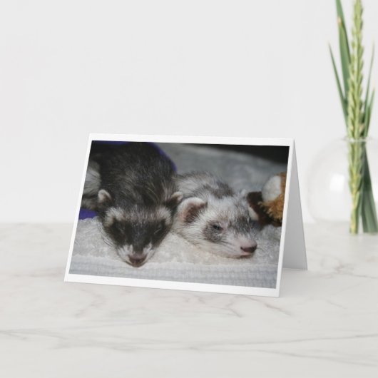 少しDooksの眠る人の挨拶状 カード (正面)