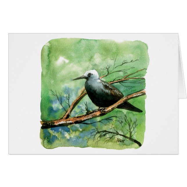 少しnoddy (正面横)