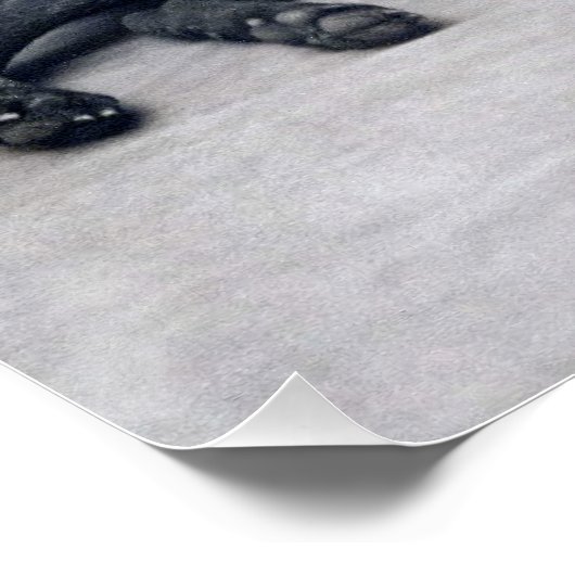 少女と愛犬 ポスター (コーナー)