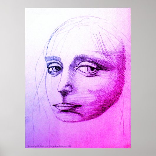 「少女のスケッチ」, レオナルド・ダ・ヴィンチの研究, D.C.B. ポスター (正面)