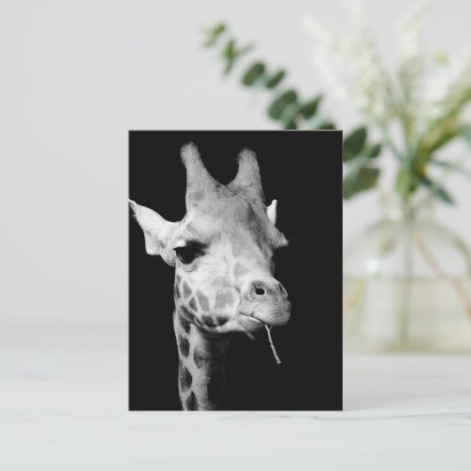 少女の ポストカード (スタンド正面)