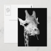 少女の ポストカード (正面/裏面)