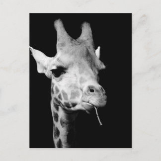 少女の ポストカード