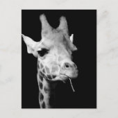 少女の ポストカード (正面)