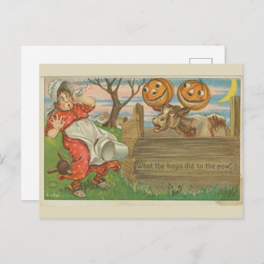 少年たちが牛のハロウィーンヴィンテージに対して何をしたか ポストカード (正面/裏面)