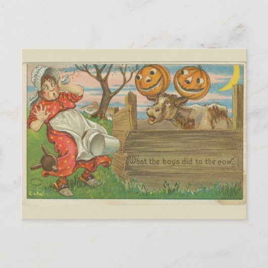 少年たちが牛のハロウィーンヴィンテージに対して何をしたか ポストカード (正面)
