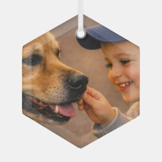 少年と犬のガラス六角形オーナメント ガラスオーナメント