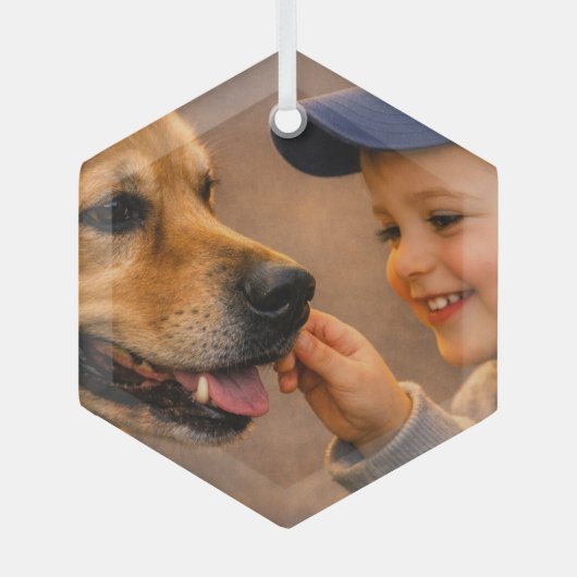 少年と犬のガラス六角形オーナメント ガラスオーナメント (正面)