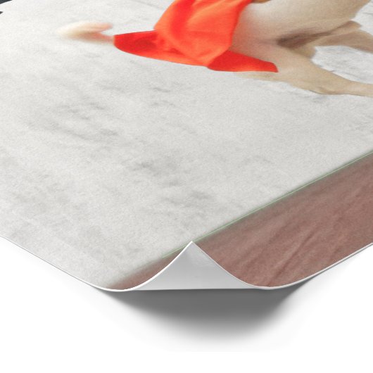 少年と犬のスーパーヒーロー ポスター (角)