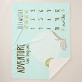 少年のかわいいTレックス恐竜ベビーマイルストーン シェルパブランケット (正面)