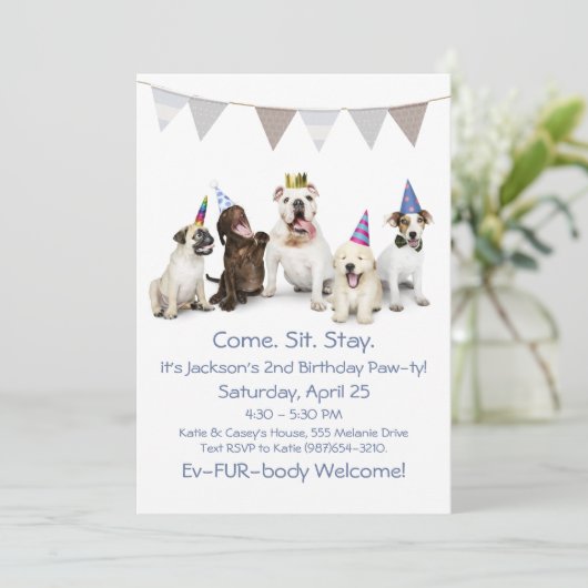 少年の子犬のための犬の誕生日パーティー 招待状 (スタンド正面)