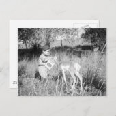 少年の食べ物を与えカモシカ ポストカード (正面/裏面)