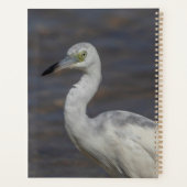 少年ヘロン2024 プランナー手帳 (裏面)