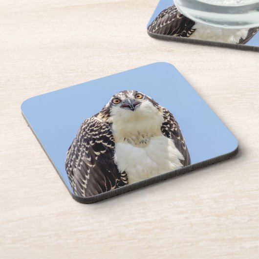 少年少女の密会 コースター (左側)