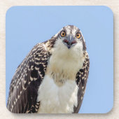 少年少女の密会 コースター (正面)