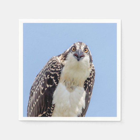 少年少女の密会 スタンダードカクテルナプキン (正面)