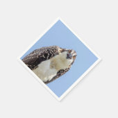 少年少女の密会 スタンダードカクテルナプキン (角)