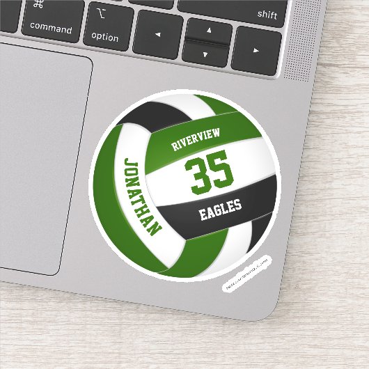 少年少女グリーンブラックチームカラーバレーボール シール (詳細)