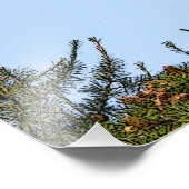 少年用ハゲ狩り フォトプリント            (角)