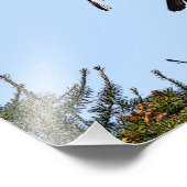 少年用ハゲ狩り フォトプリント            (角)