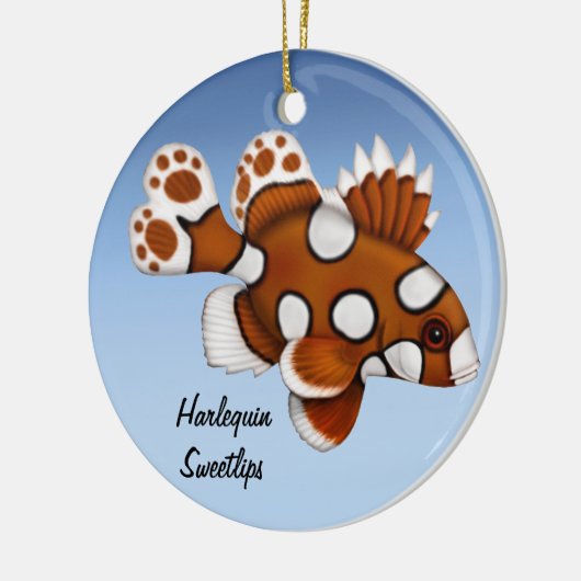 少年用ハーレクインアユリップリーフフィッシュオーナメント セラミックオーナメント (左)