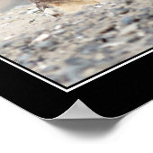 少年穴掘りフクロウのポスター ポスター (角)