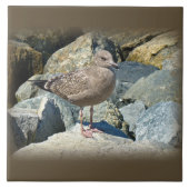 少年素晴らしの背中のカモメ タイル (正面)