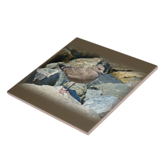 少年素晴らしの背中のカモメ タイル (側面)