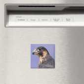 少年院《鳥》ハヤブサの概要 マグネット (インサイチュ (食洗機))