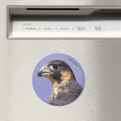 少年院《鳥》ハヤブサの概要 マグネット (インサイチュ (食洗機))