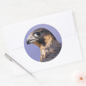 少年院《鳥》ハヤブサの概要 ラウンドシール (封筒)