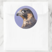 少年院《鳥》ハヤブサの概要 ラウンドシール (バッグ)